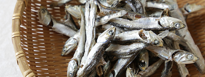 《スタッフ買い物帖》あらためて楽しんでいます。だし生活