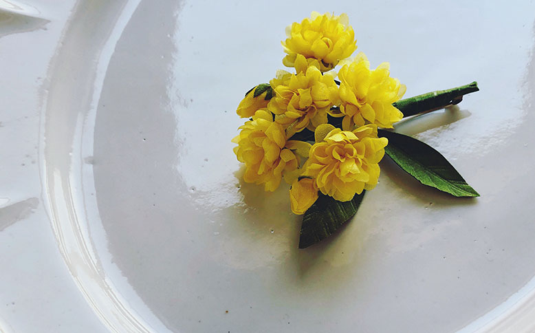 《SHOP EVENT NEWS》二子玉川shed／utopiano ワークショップ