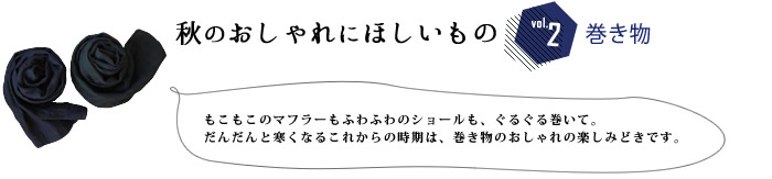 Ĥɂق VOL.2 
