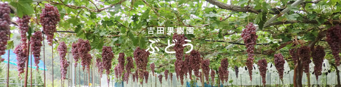 gcʎ@Ԃǂ