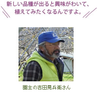 ̋gc